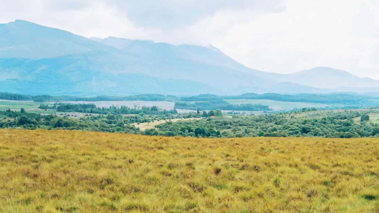 A nature tour of Edinburgh