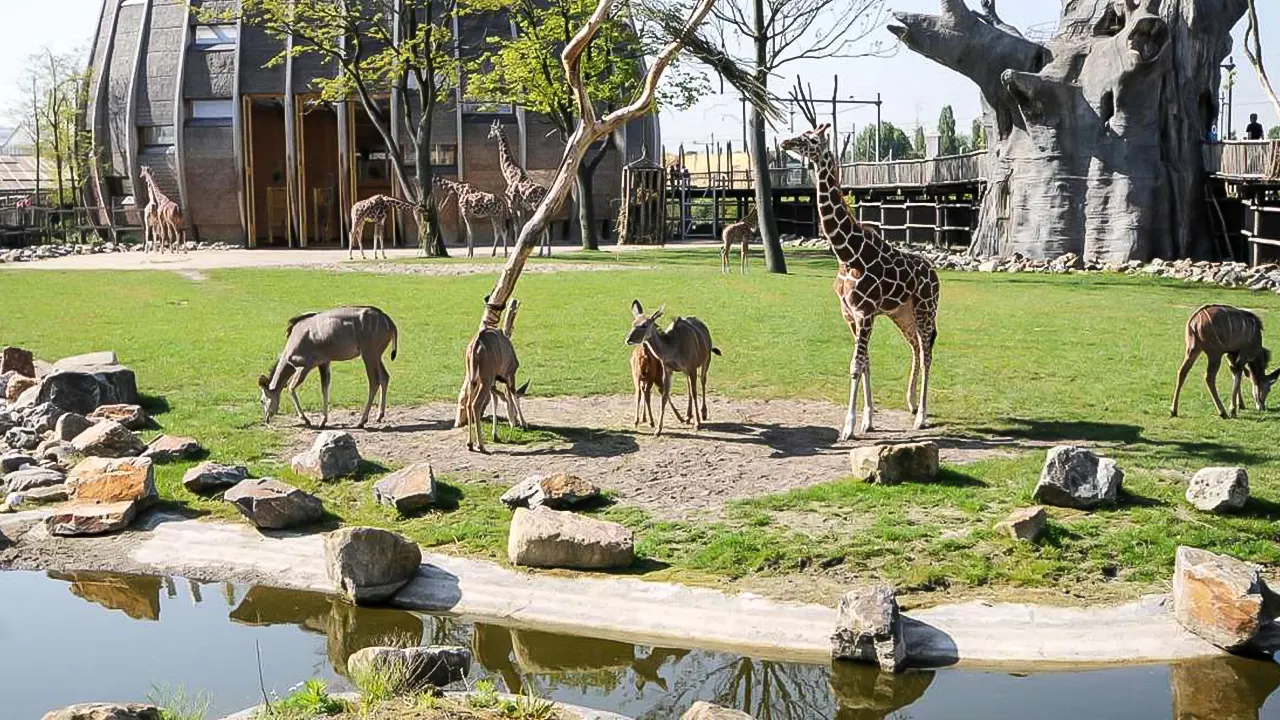 Rotterdam Zoo Blijdorp