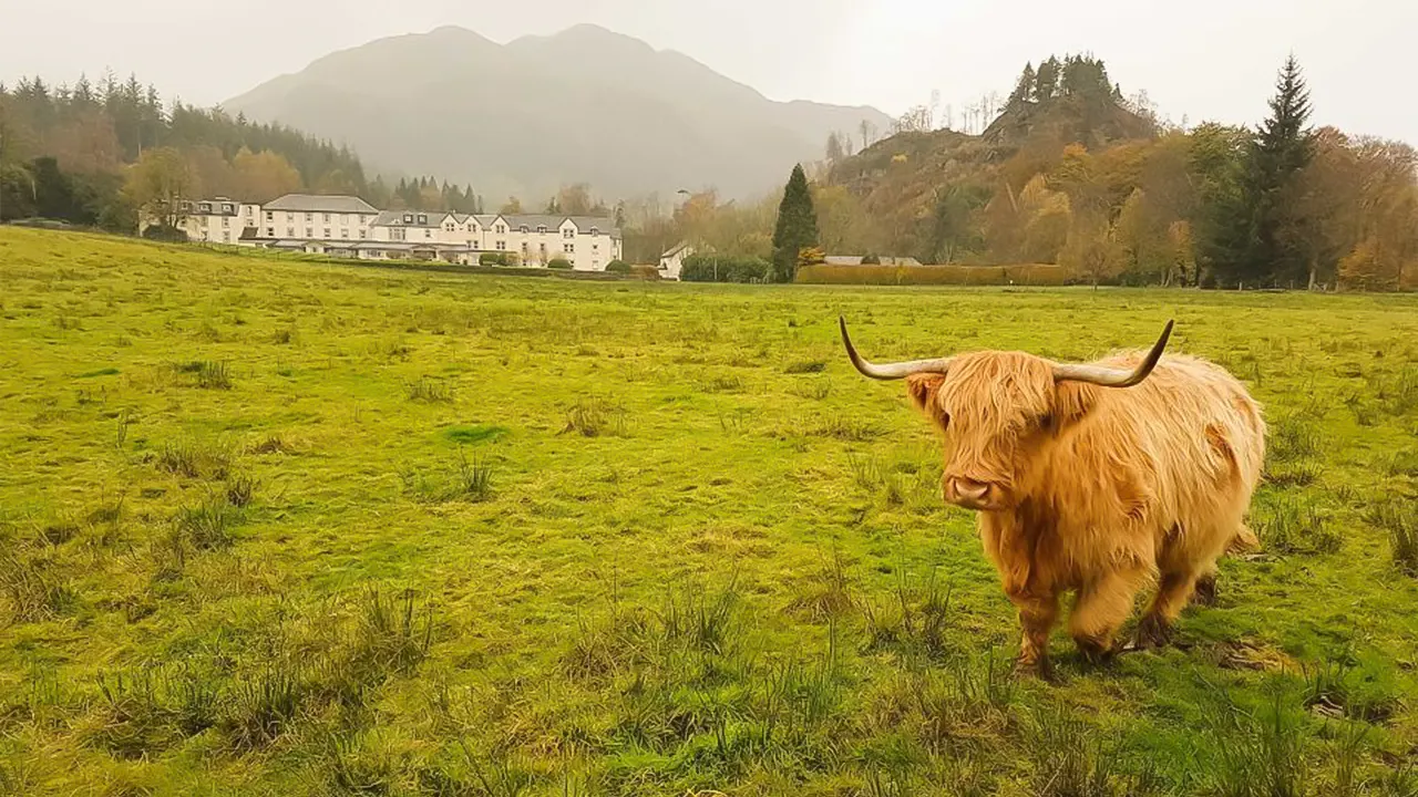 Loch Lomond & Stirling Castle tour