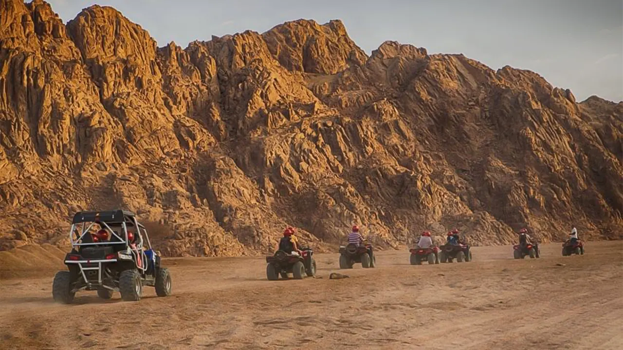 ATV, Camel Ride with BBQ Dinner and Show