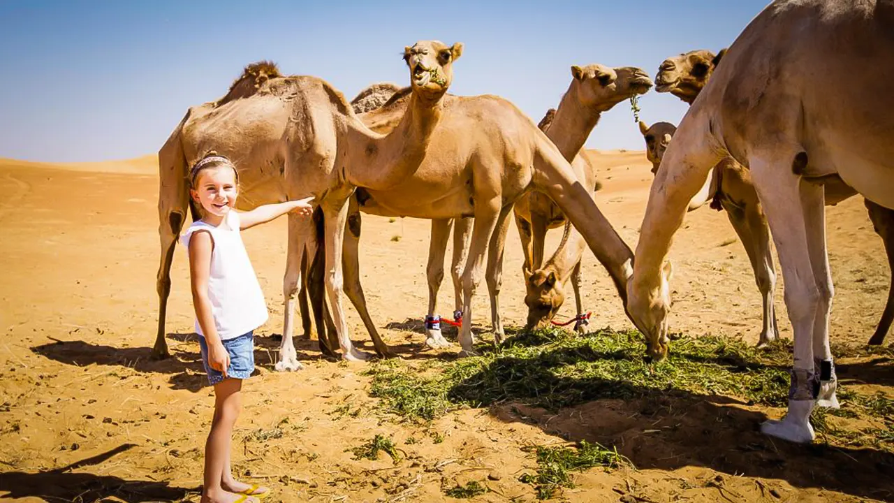 Morning desert tour with activities