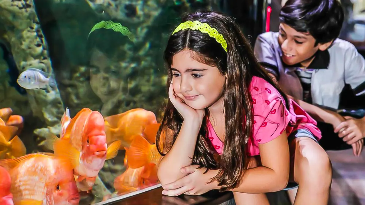 Dubai Aquarium and water park