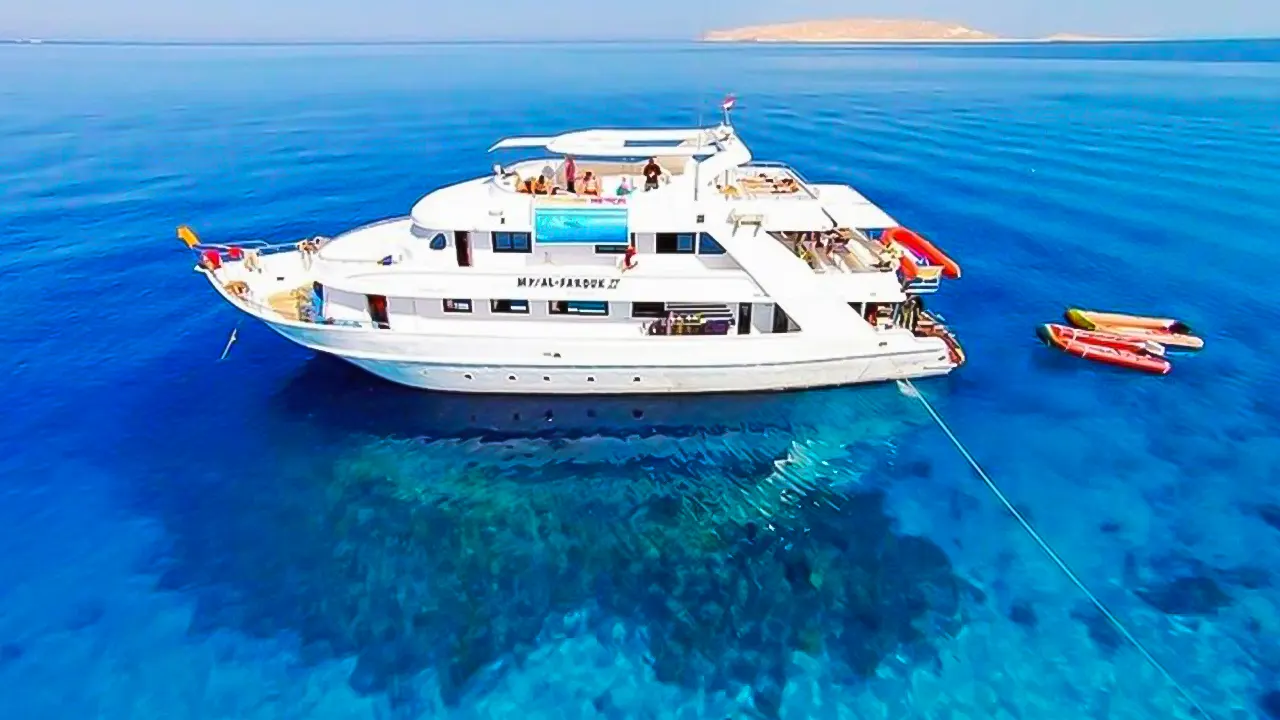 Ras Mohammed and Island Cruise with Lunch