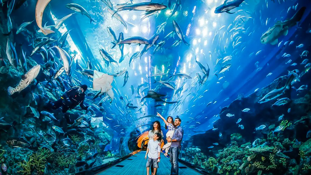 Dubai Aquarium and water park