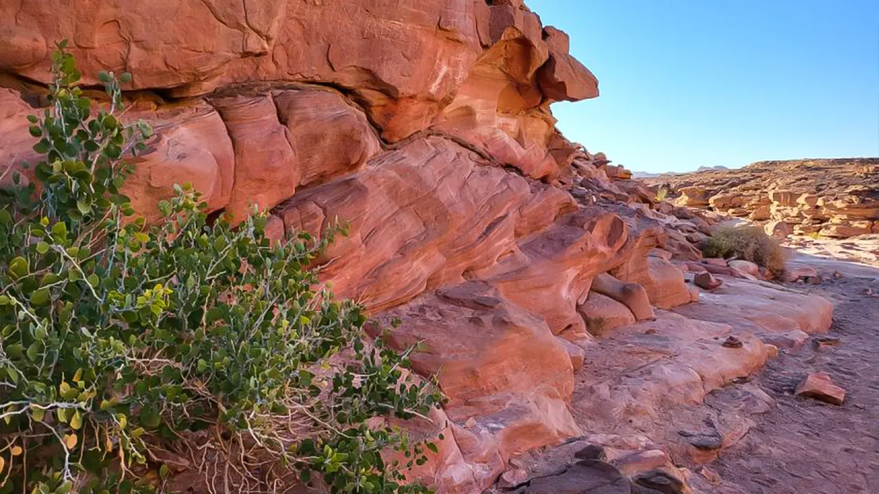 Canyon, Camel, and Snorkel Jeep Tour