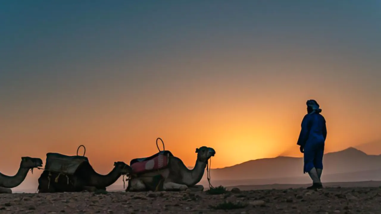 Sunset Agafay desert & Dinner &Camel Ride