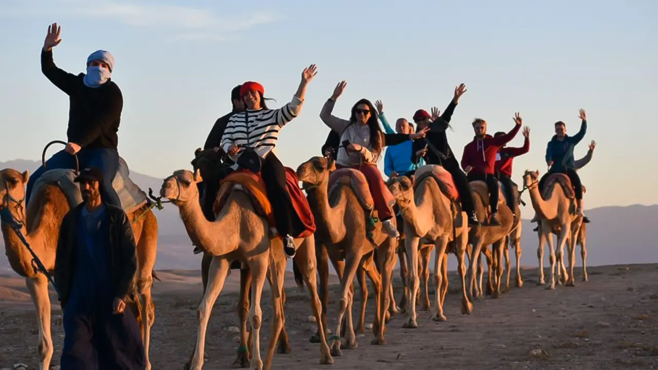 Desert sunset, camel ride and dinner