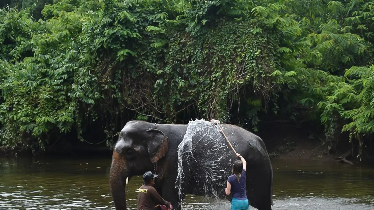 Elephant Sanctuary & Kanchanaburi Tour