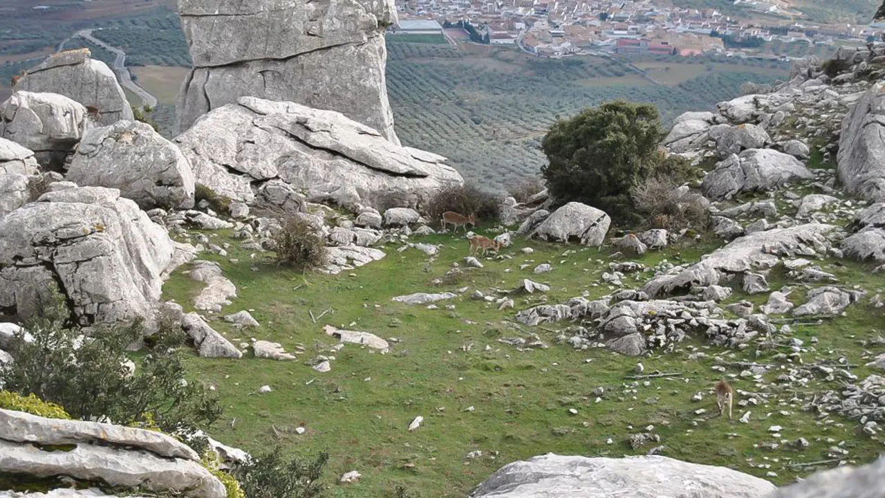 Torcal Hiking and Dolmens Site