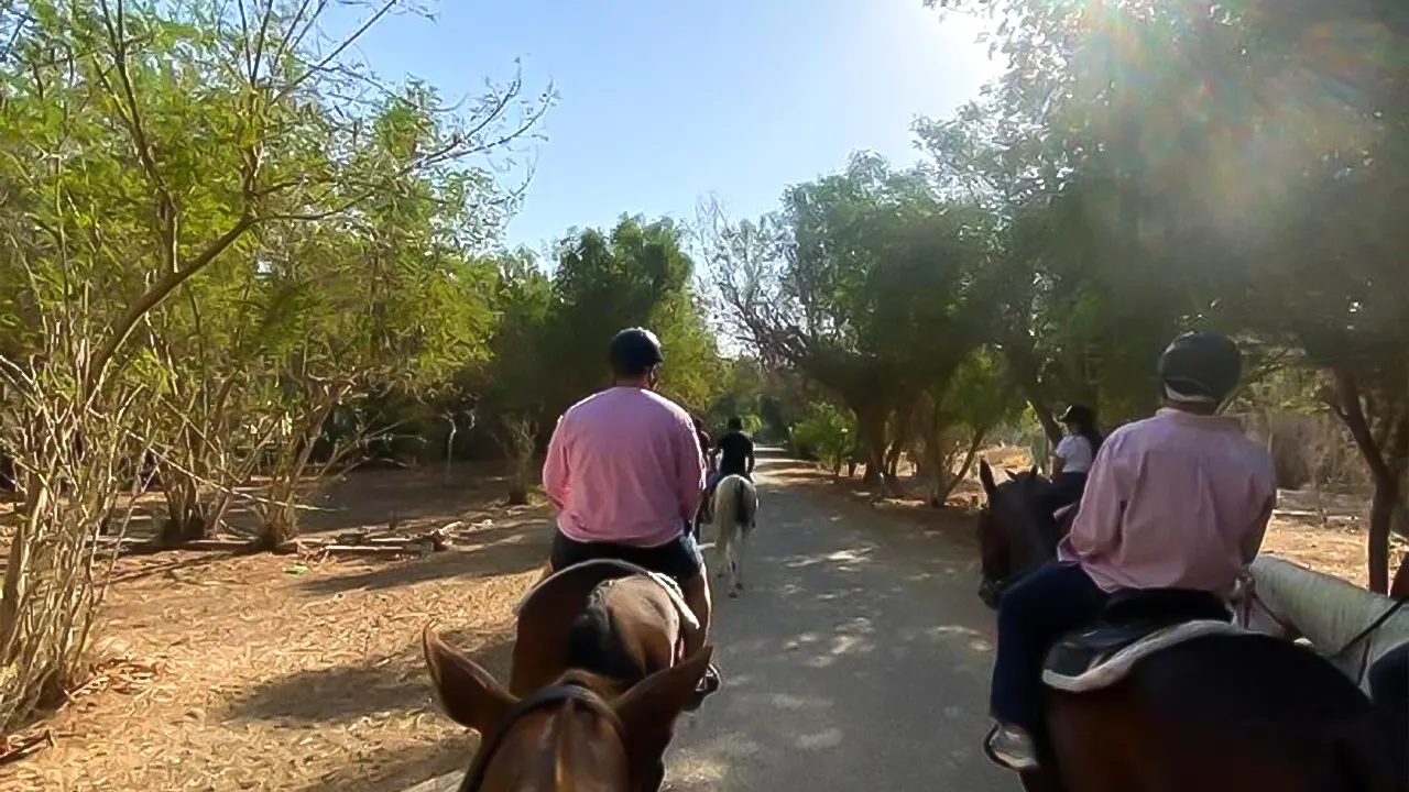 Riyadh Horse track experience