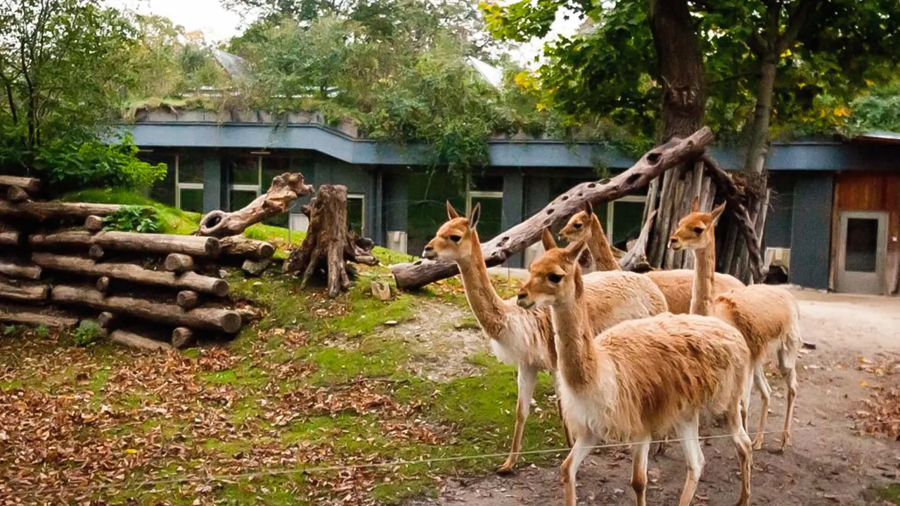 Schönbrunn Zoo