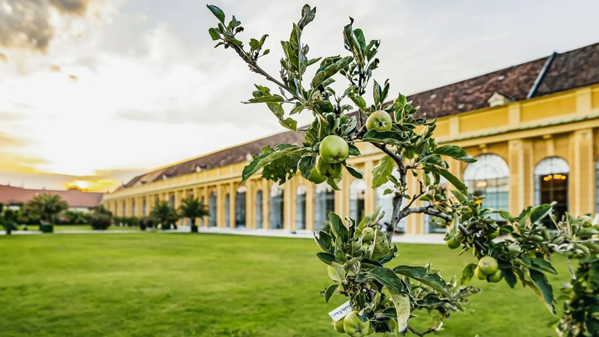 Mozart and Strauss Concert in Schoenbrunn