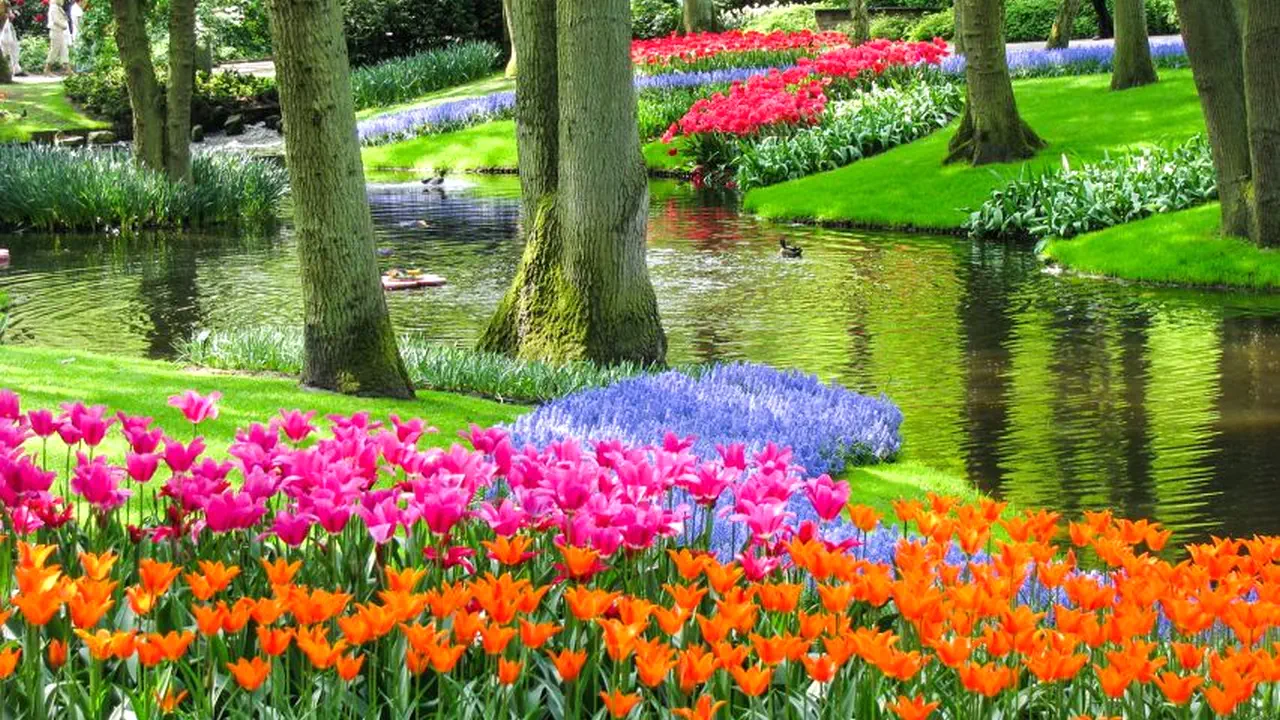 Keukenhof Entry and Shuttle Bus