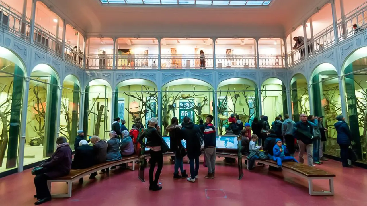 Skip-the-line Tickets for Schönbrunn Zoo