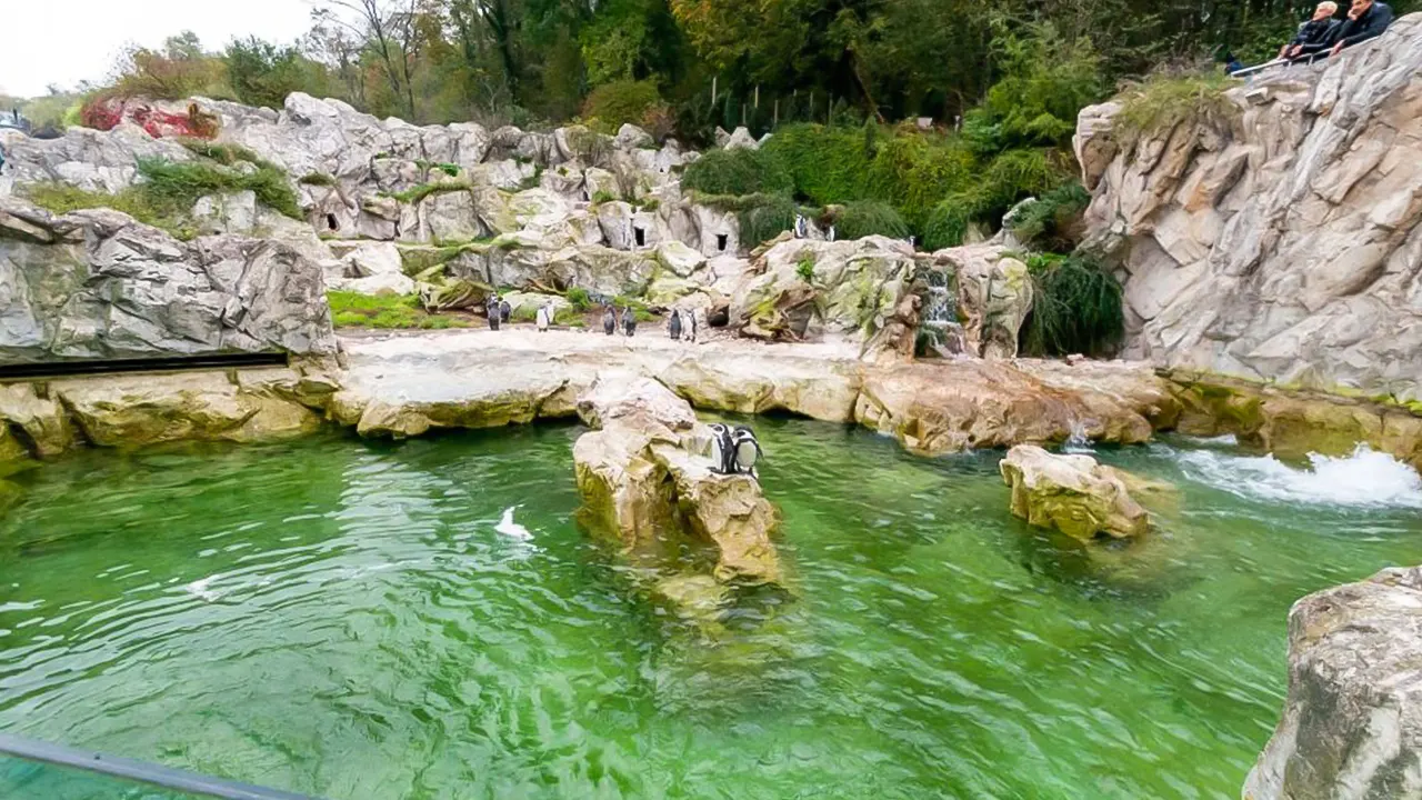 Skip-the-line Tickets for Schönbrunn Zoo