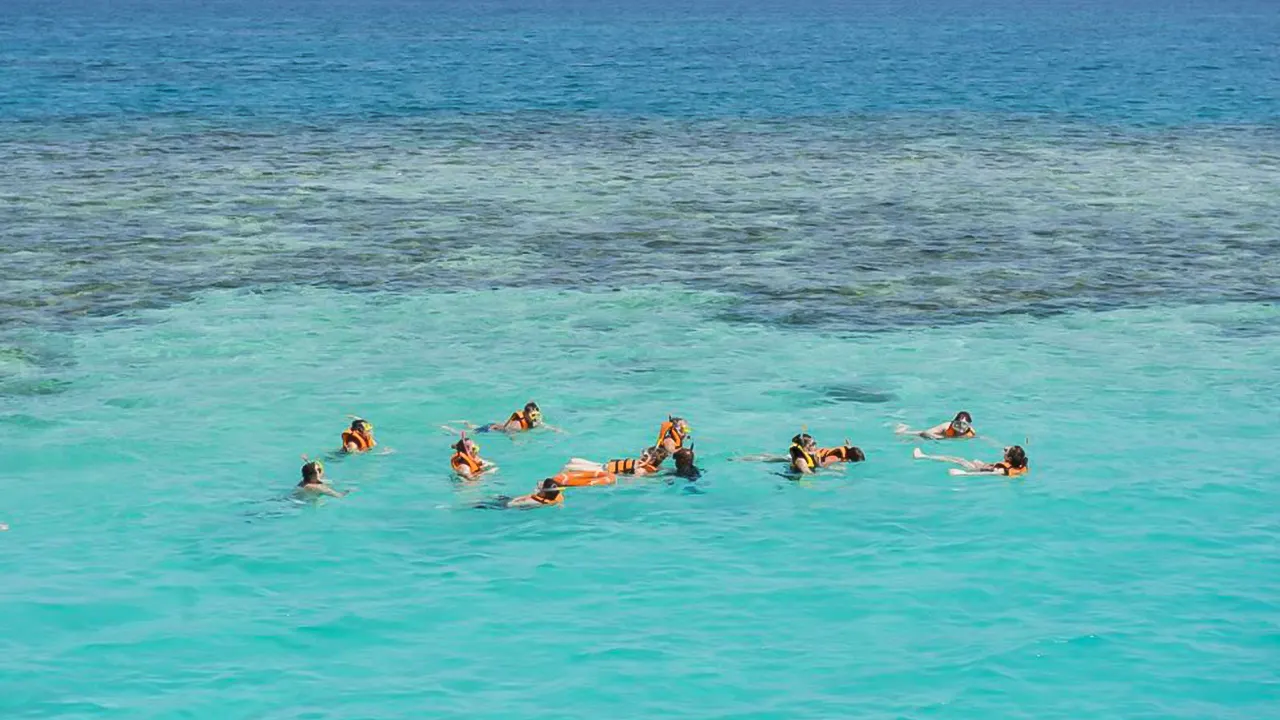 Giftun island with snorkeling and a lunch buffet