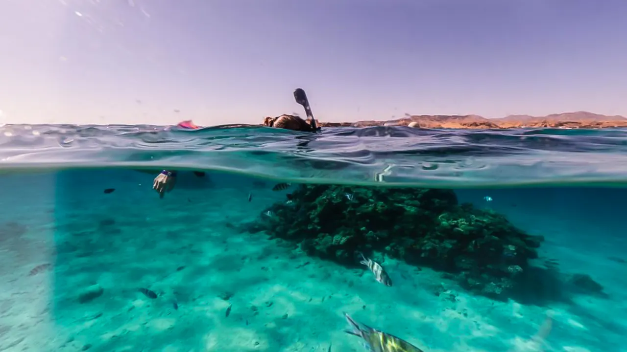 Giftun island with snorkeling and a lunch buffet