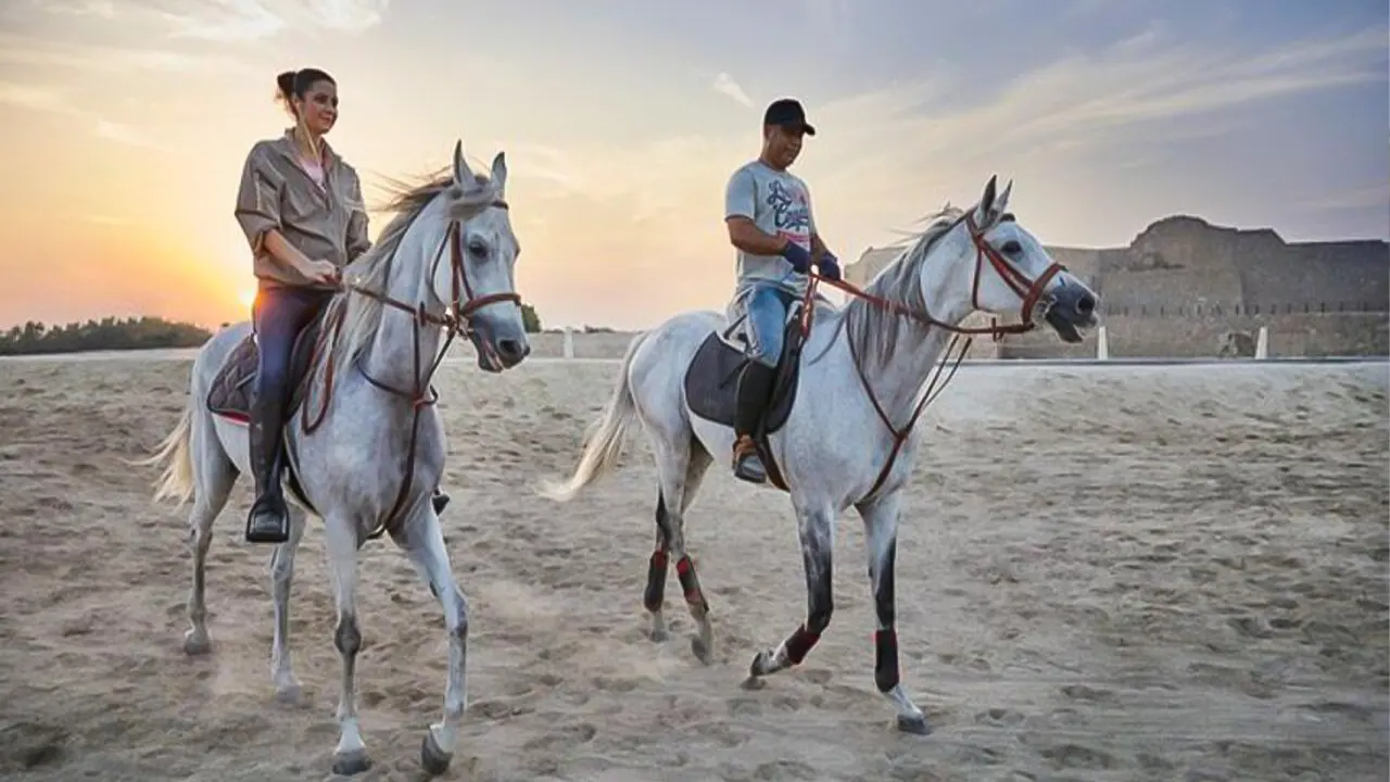 Desert and sea horse riding by Transport