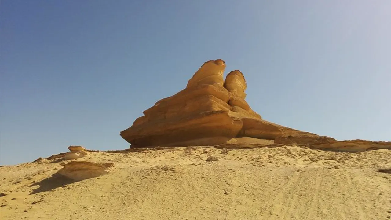 الصحراء البيضاء والواحة البحرية جولة نهارية خاصة