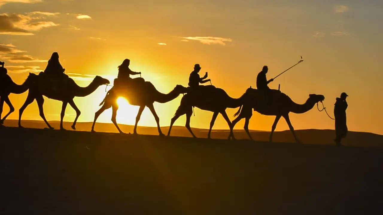 Desert sunset, camel ride and dinner