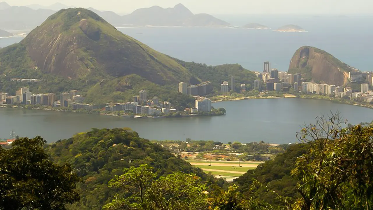 Tijuca Rain Forest Tour by Jeep