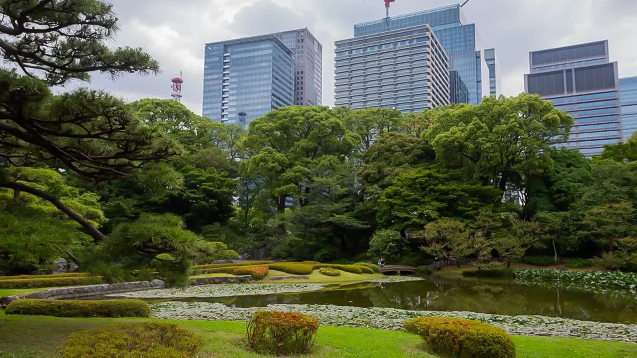 Chiyoda Imperial Palace Walking Tour