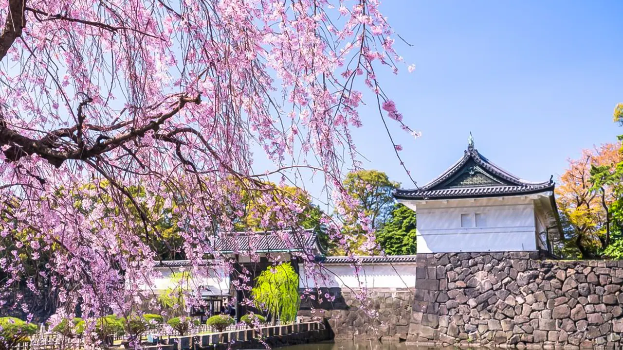 Chiyoda Imperial Palace Walking Tour