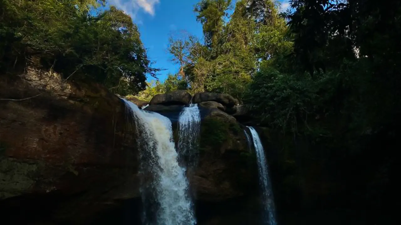 Khao Yai National Park Small-Group Day Trip