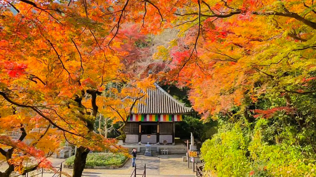 Bus tour of Kamakura and Enoshima