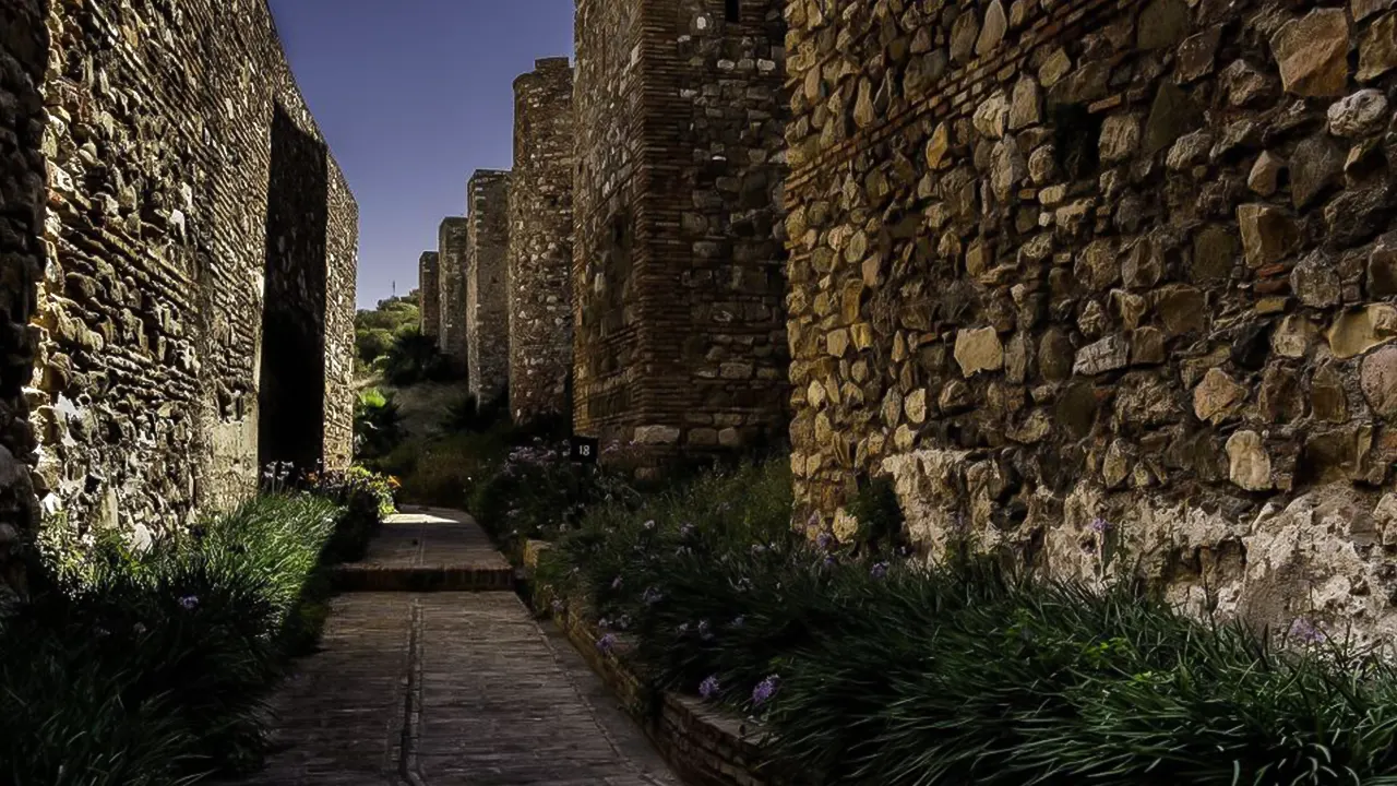 Roman Theatre and Alcazaba Guided Tour