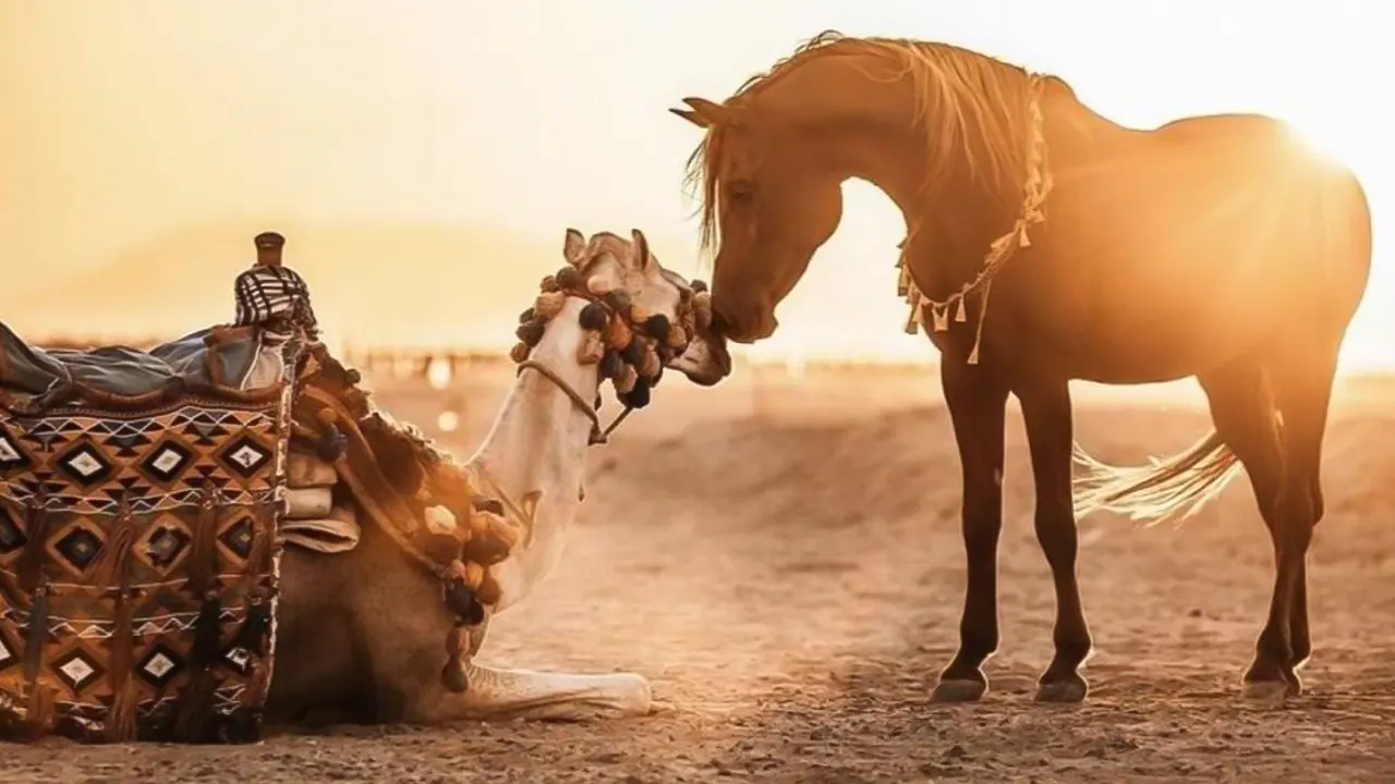 Horse riding and beauty breakfast