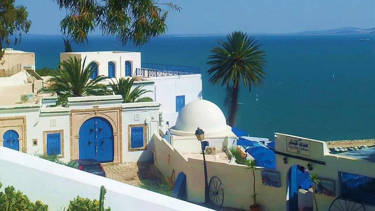 Private Day medina of Tunis Carthage Sidi Bousaid with lunch