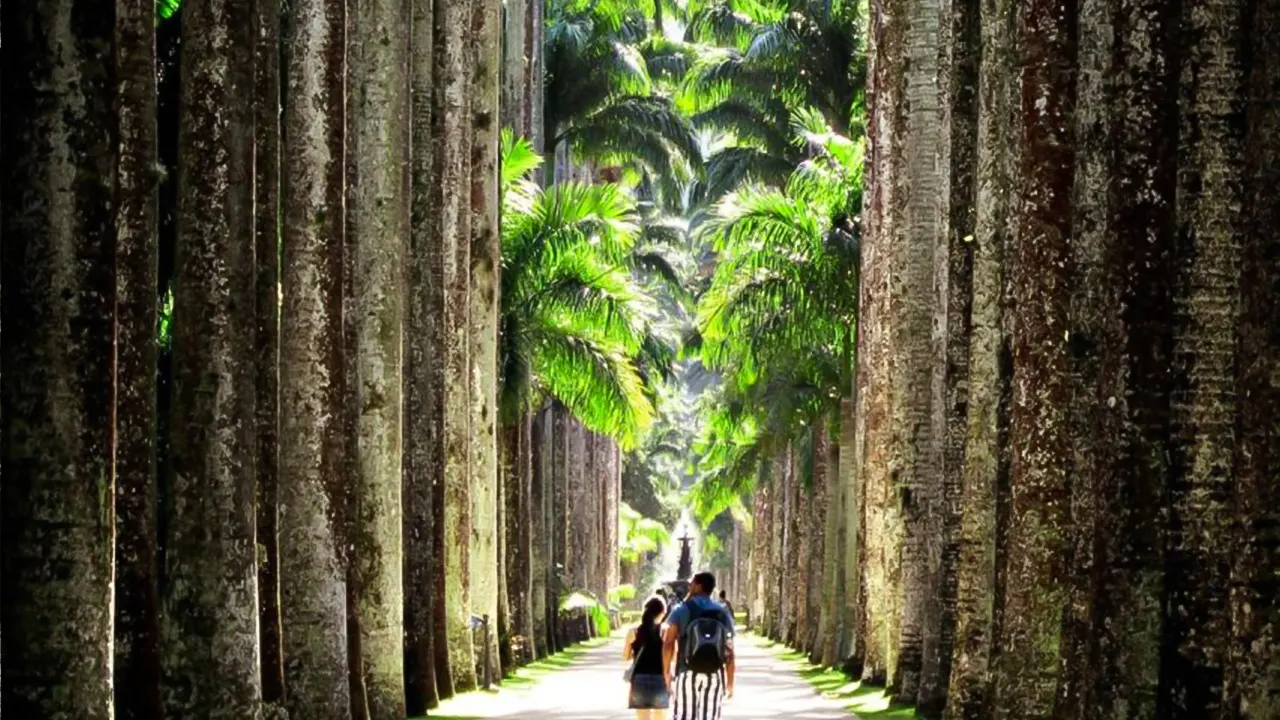 Botanical Garden Guided Tour & Parque Lage