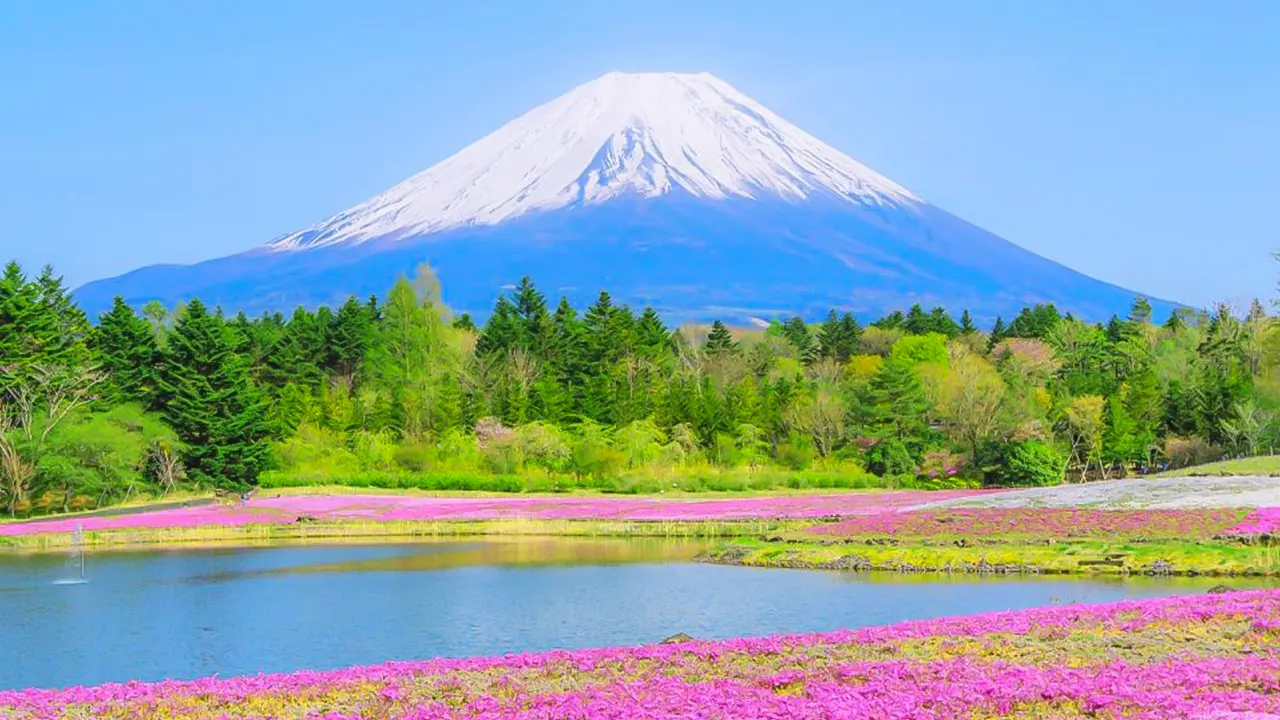 Mt.Fuji, Oshino Hakkai, and Onsen Hot Spring Day Trip