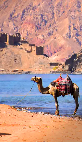 الوجهات السياحية داخل طابا